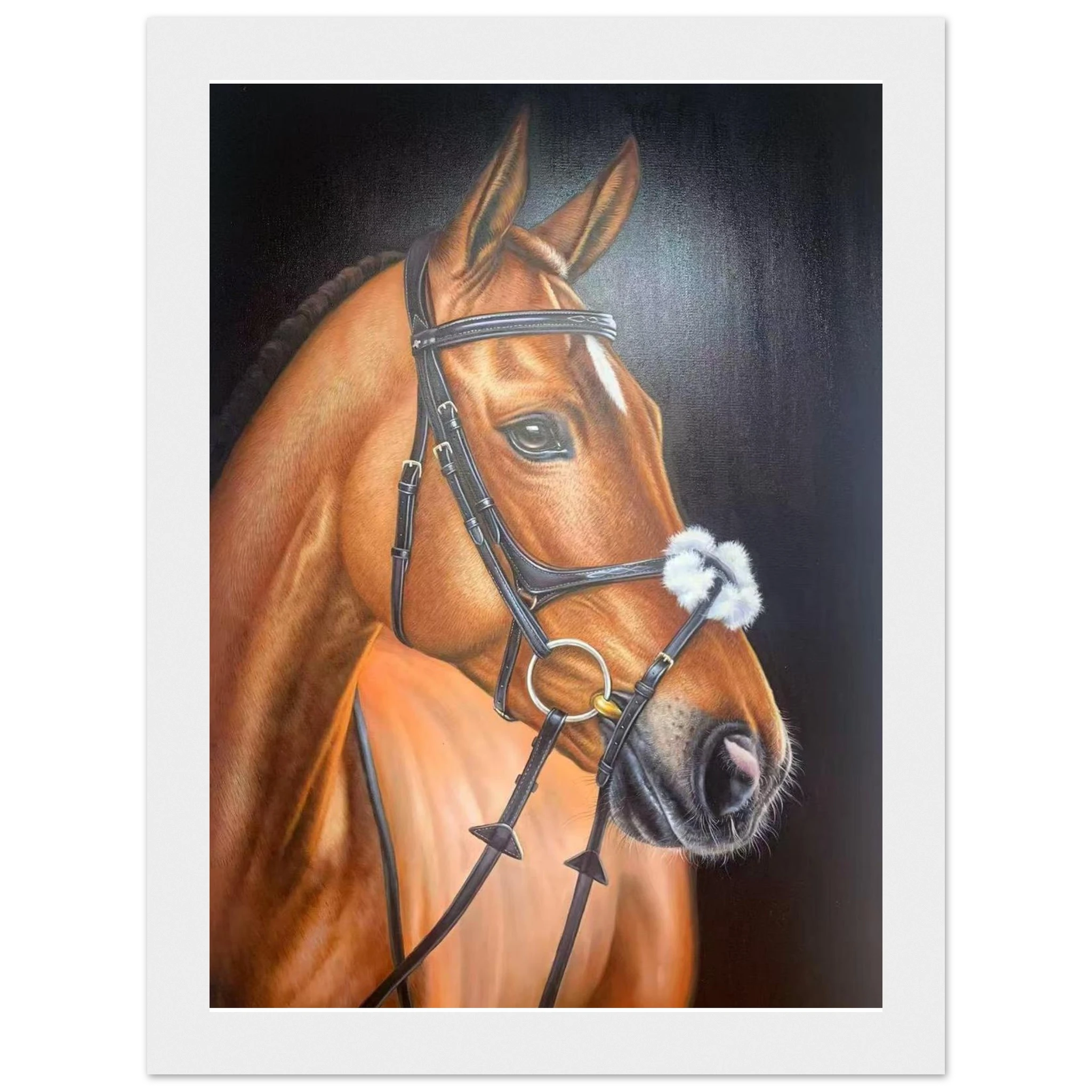 b358c6e5-1f02-40aa-b5b9-1bcb27a2380b